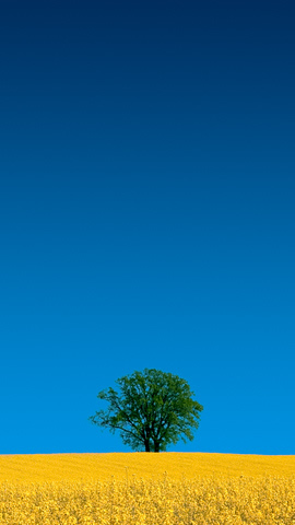 2860127362_d838ac19c1_o.jpg